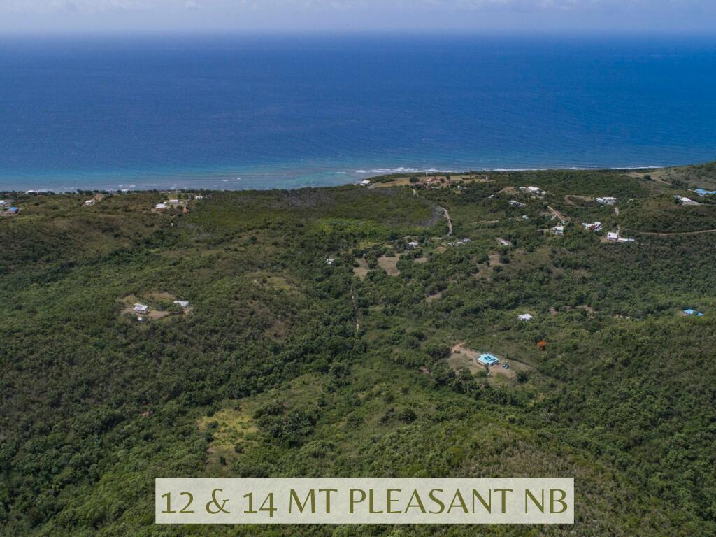 12, 14 Mt. Pleasant NB, 18-1211, Other, Lots and Land,  for sale, Dionne Nelthropp, Hibiscus Homes